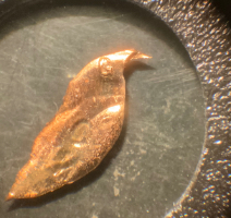1945-S-Lincoln-Cent---Multiple-Errors---Should-It-Be-Graded?
